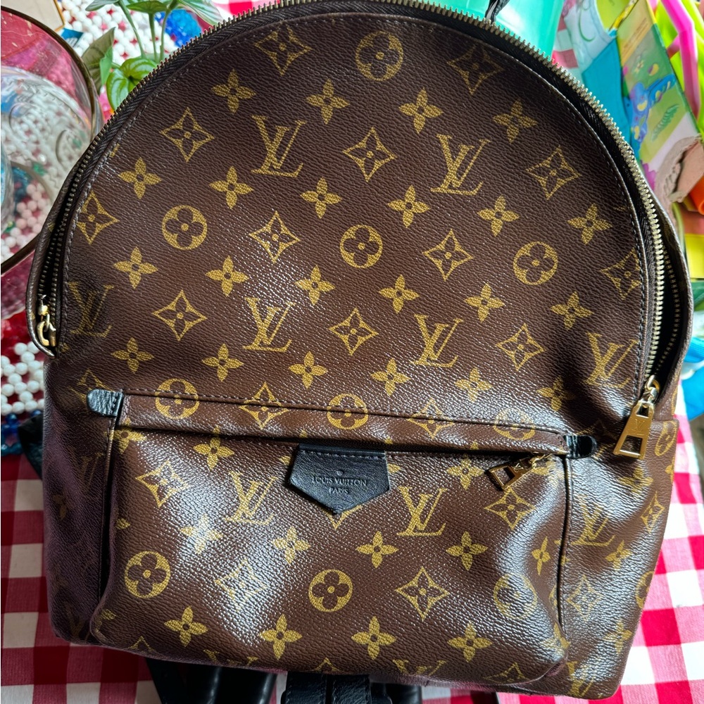 Louis Vuitton Palm Springs MM Backpack
